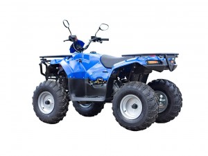Квадроцикл IRBIS ATV 200 синий - фото 2